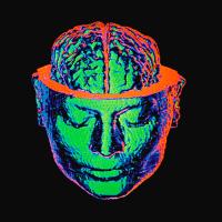 free will is an illusion