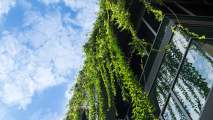 green building