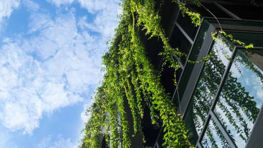 green building