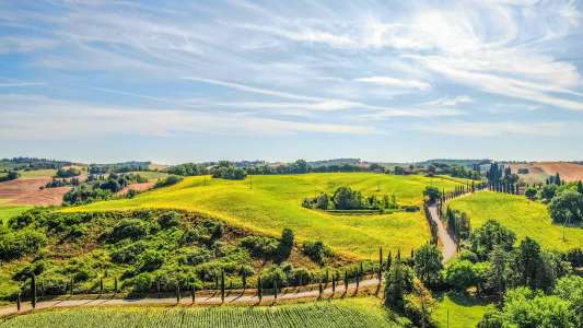 wine climate change
