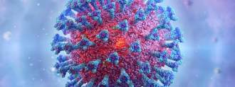Is the Coronavirus Airborne