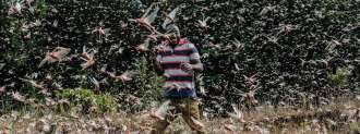 locust swarms east africa