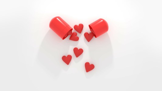 love hormone