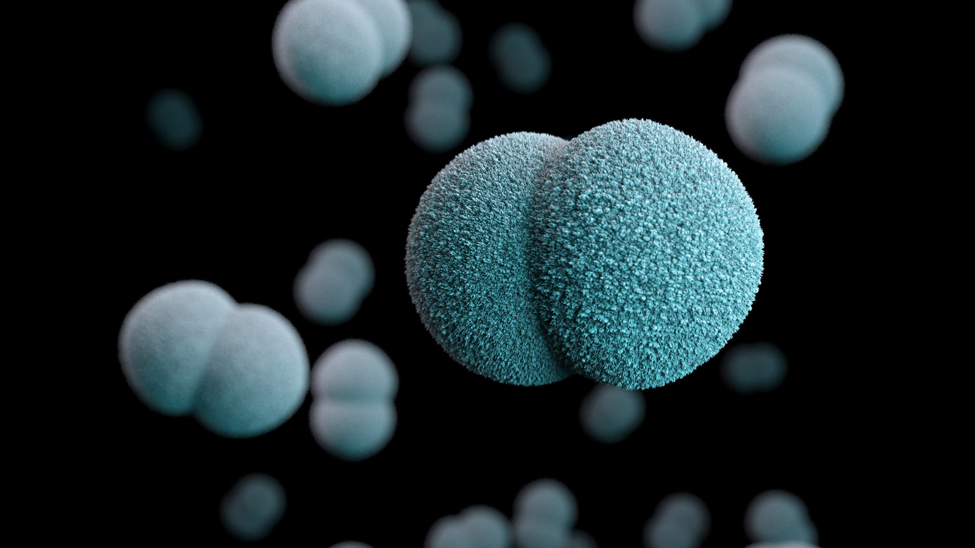 bacteria under marine snow brought to life