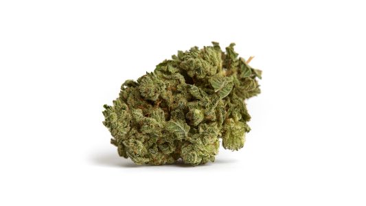 medical cannabis