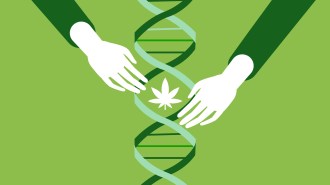 medicinal cannabis research