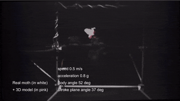 Robotic flying insects