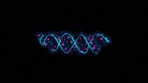 mrna vaccines