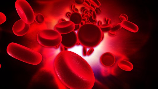 Multiple Myeloma Cancer