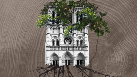 notre dame attic