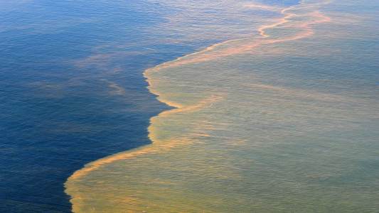 Oil spill cleanup
