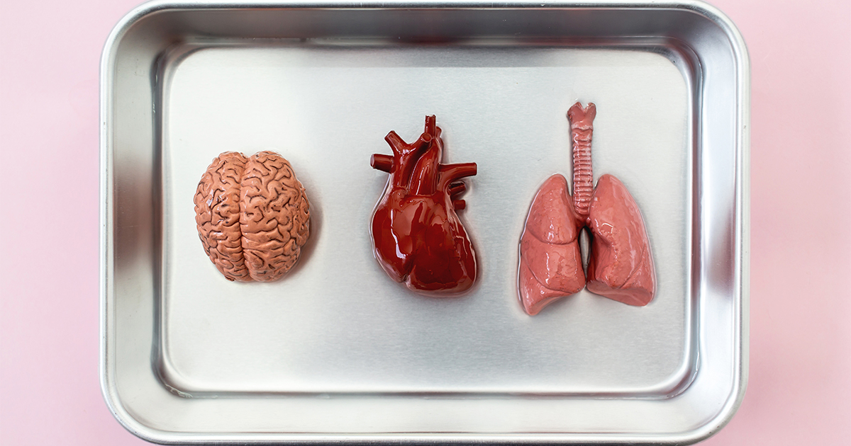 Донорство тканей. Трансплантация органов и тканей. Трансплантация органов человека. Трансплантация органов и тканей человека.