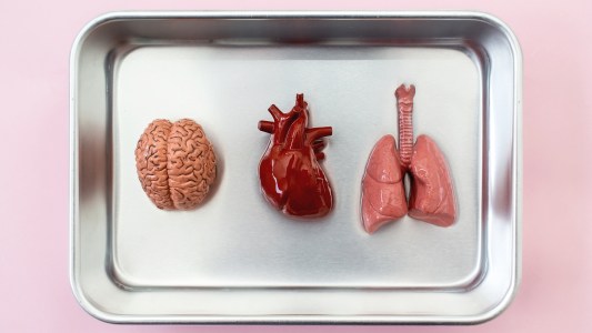 Organoids