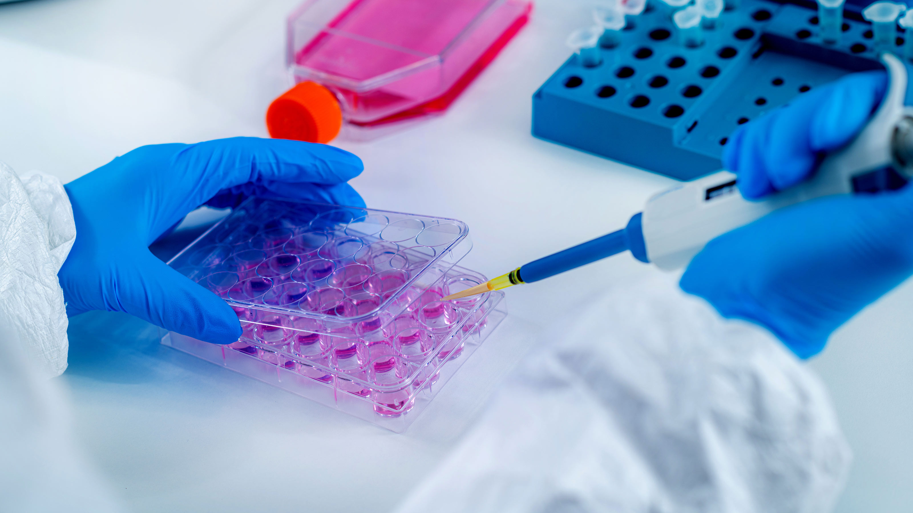 Oxford COVID-19 Vaccine