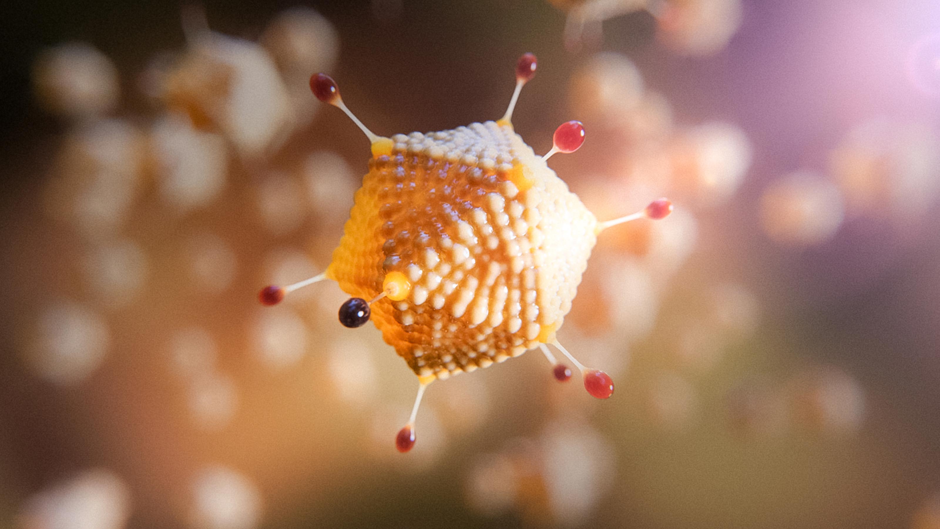 Oxford's COVID-19 vaccine