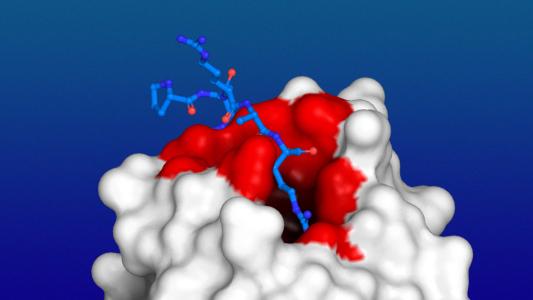 Pain Relief From Coronavirus