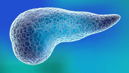 Pancreatic Cancer Treatment