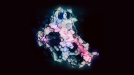 prion protein