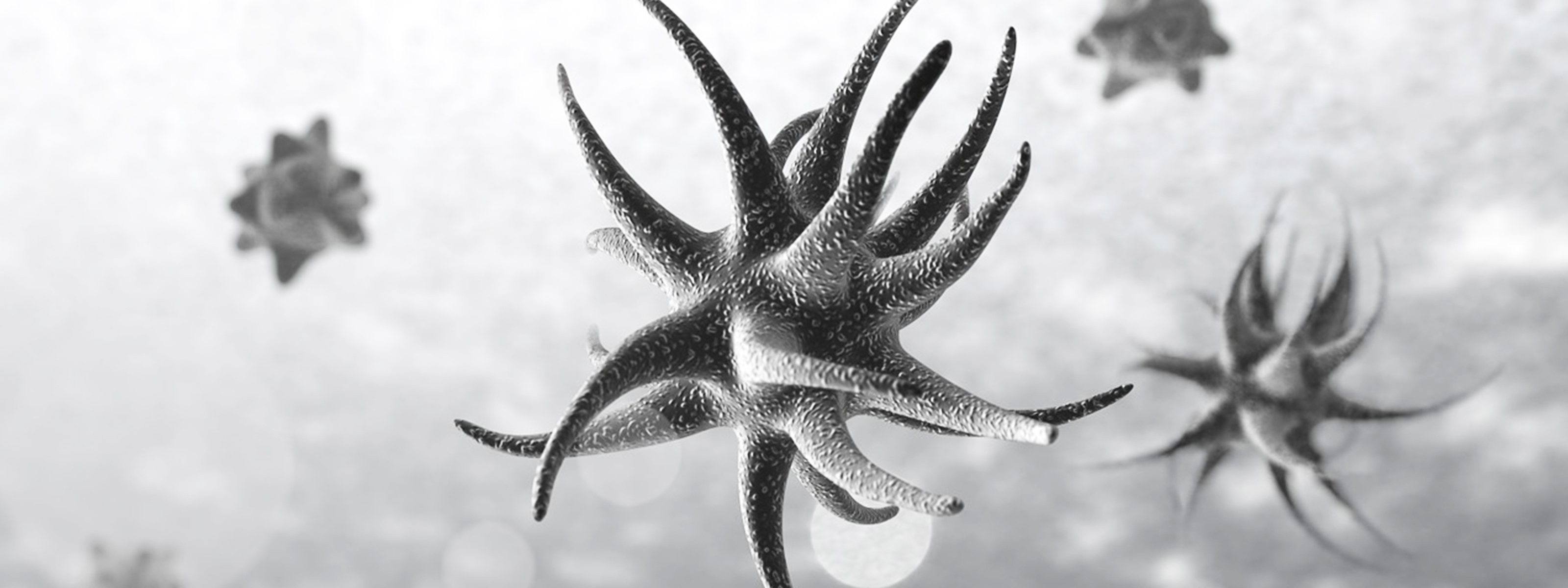 Are microbes called protists our only virus eaters?