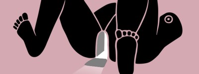 pussypedia_banner.jpg