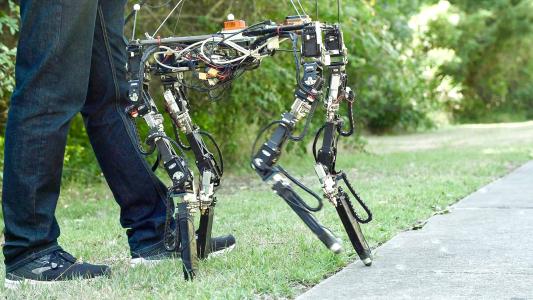 Quadruped Robot