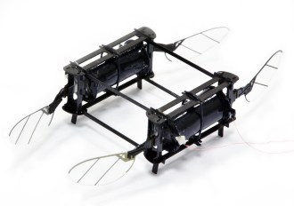 robot bees
