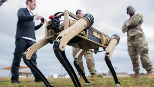 robot dogs