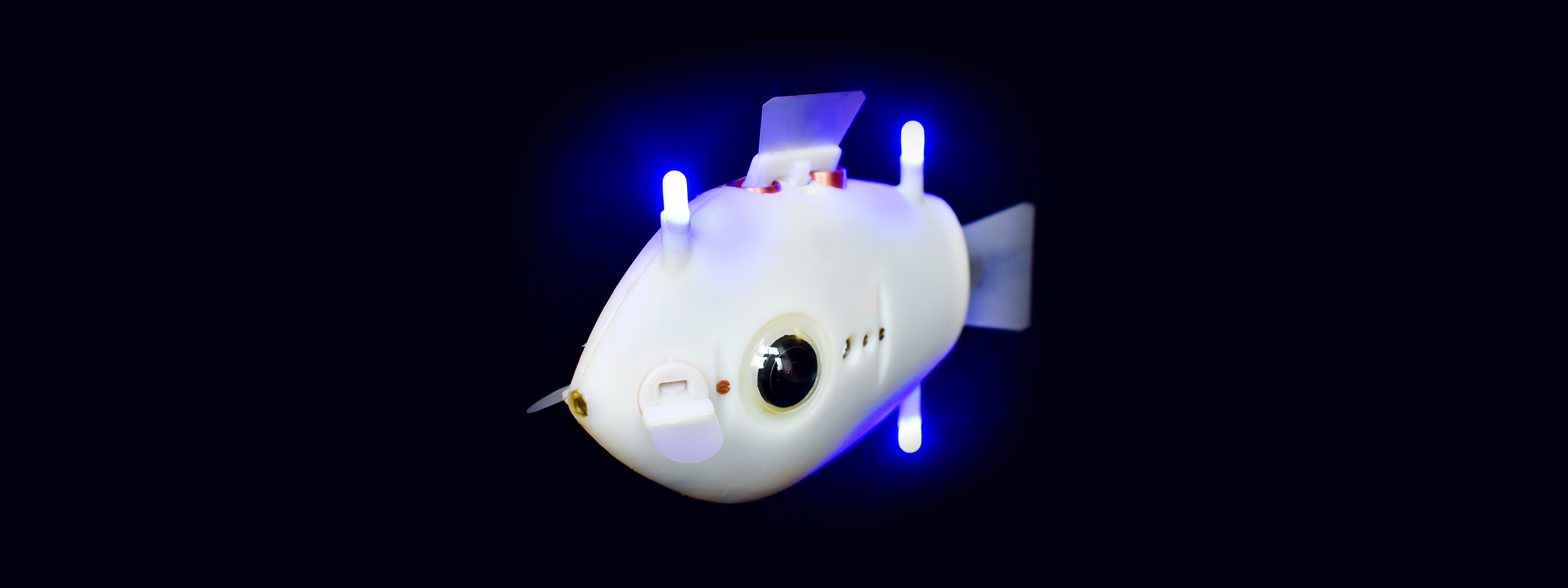 Bluebots Fish Bots can now swim like a school of real fish
