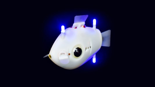 robotic fish
