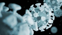 SARS-CoV-2 mutations