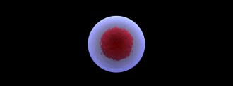 smart stem cells