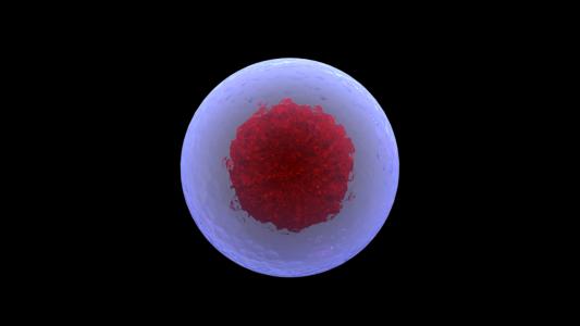 smart stem cells
