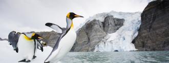 south georgia island