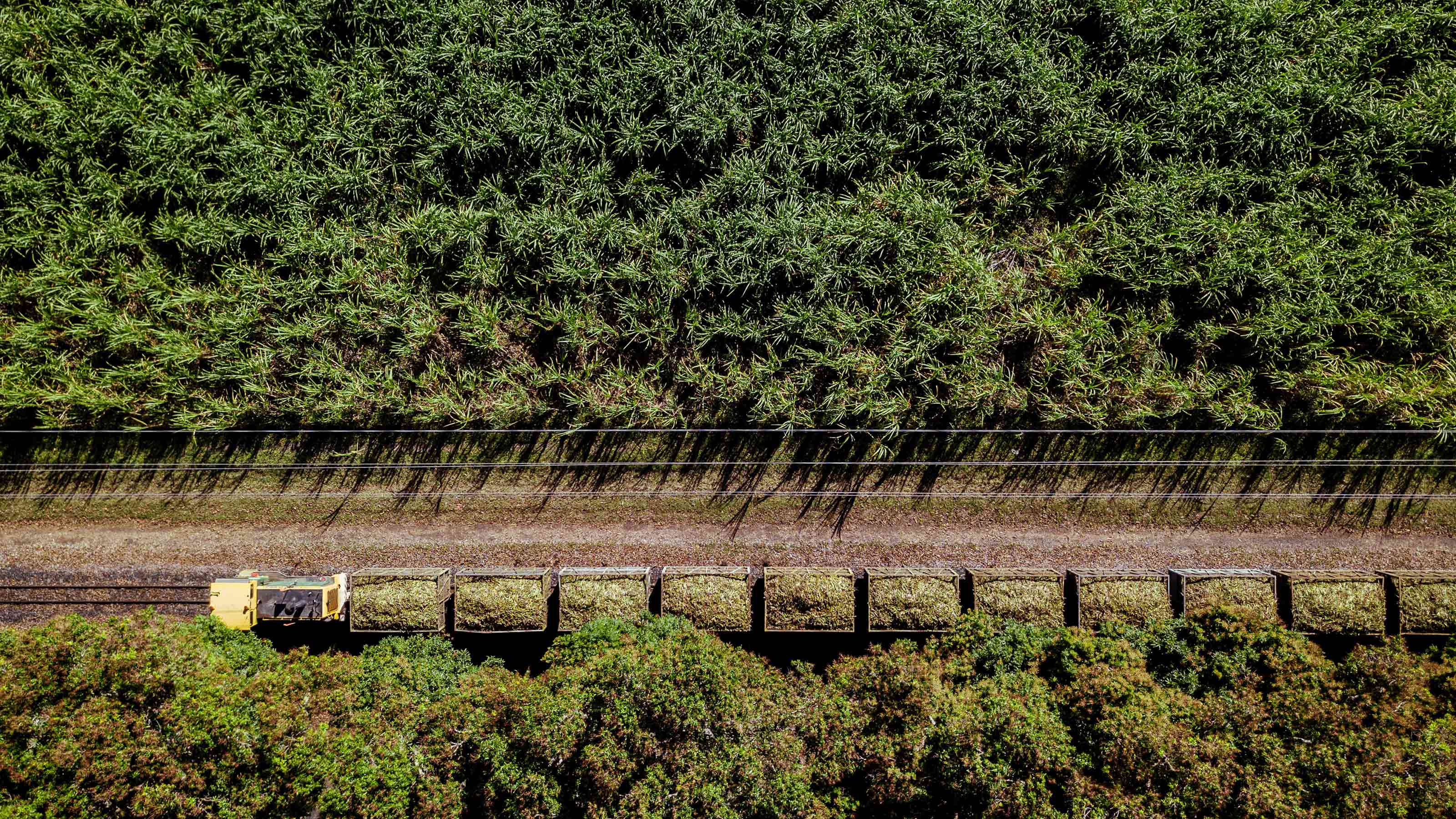 sustainable fertilizer