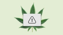 the war on drugs