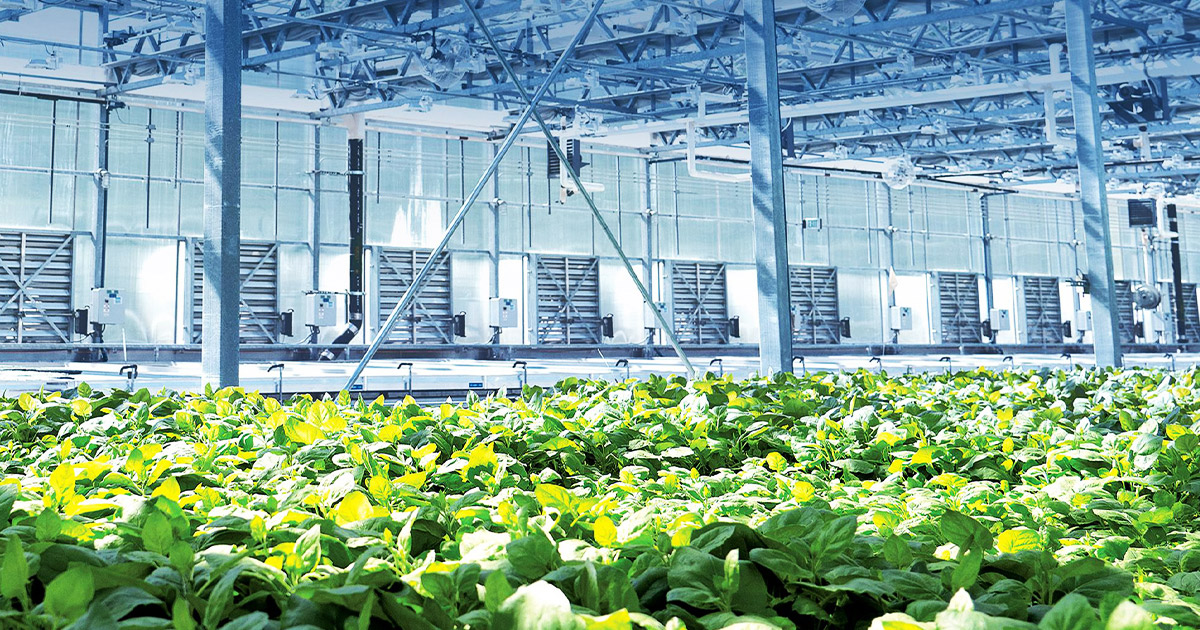 tobacco covid vaccine Counter Podcast: The Tobacco Control Booster (Episode 23) – Counter Tools Philip Morris International and Medicago's