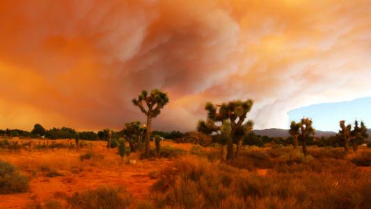 Track Wildfires