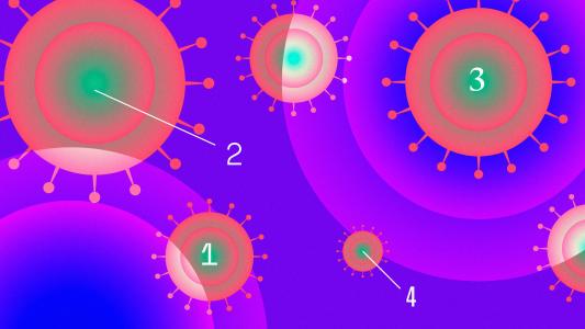 universal coronavirus vaccine