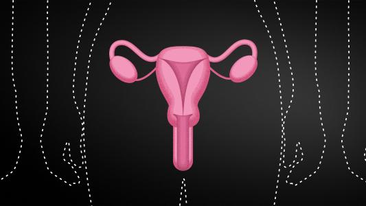 Uterus Transplant