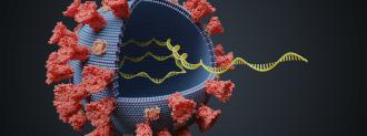 Varying Coronavirus Symptoms