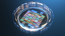 Virus Detection