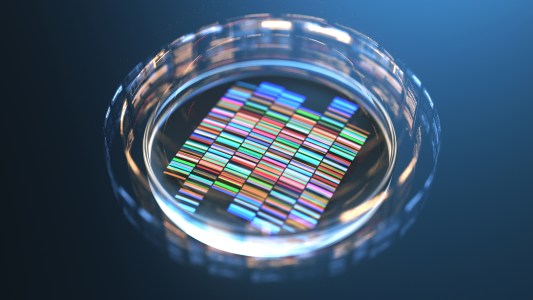 Virus Detection