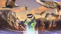 VR Nature