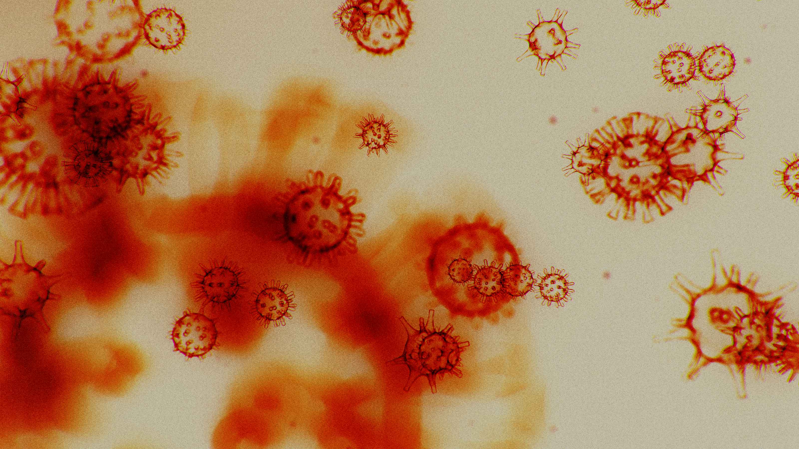 What is the coronavirus fatality rate