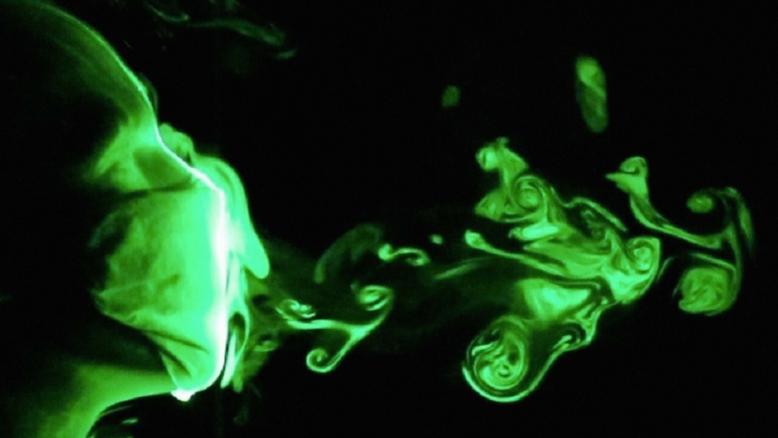 Which Type of Face Mask Is the Best