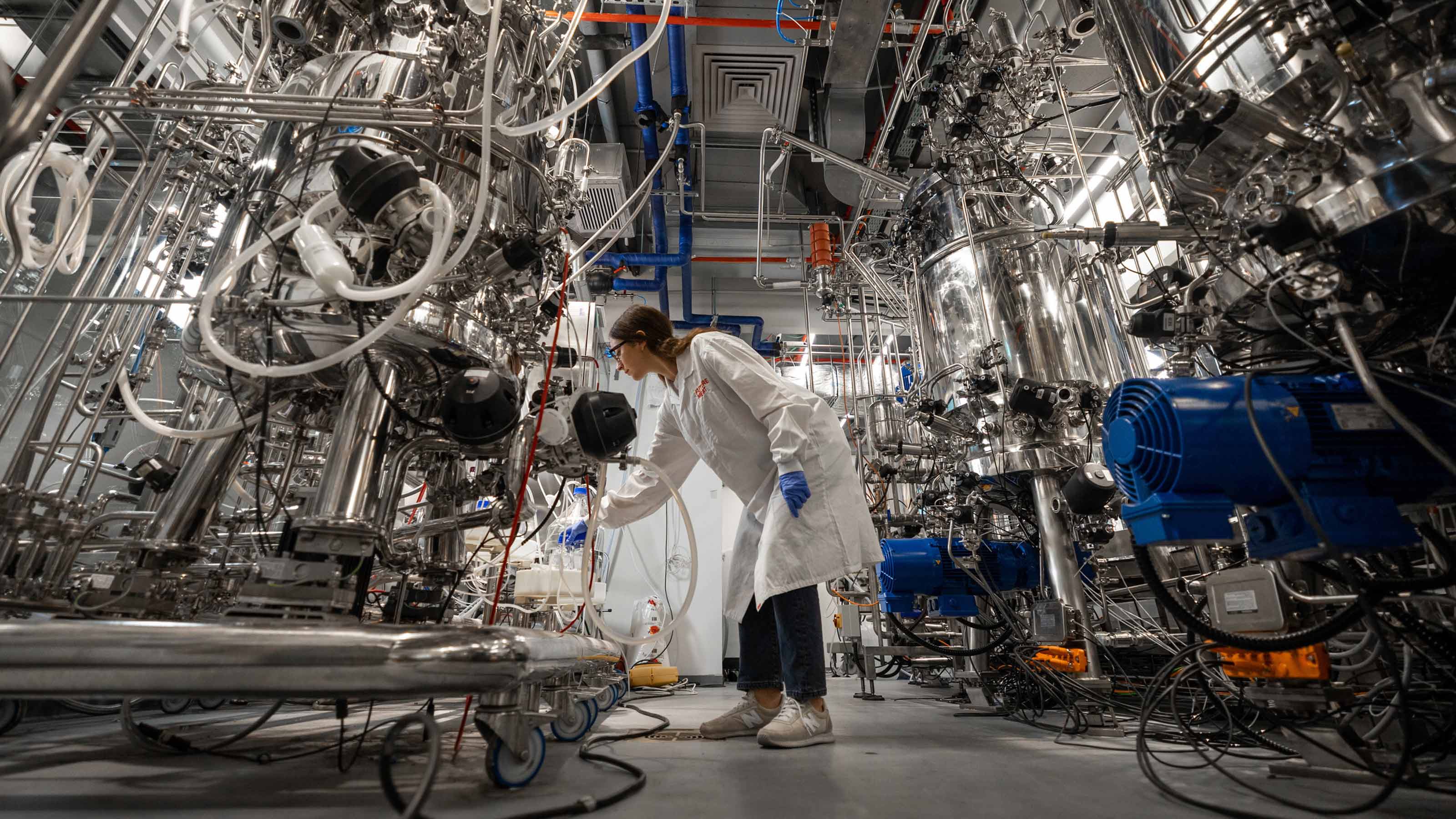 cultured meat production