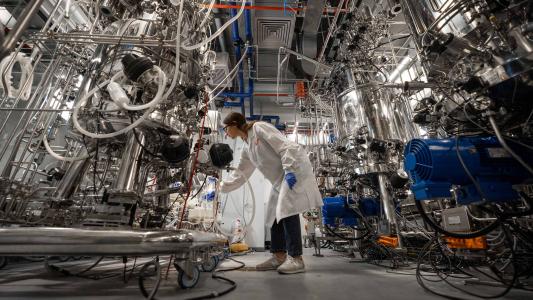 cultured meat production