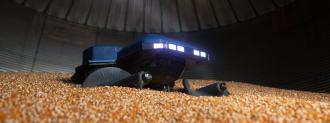 grain weevil robot