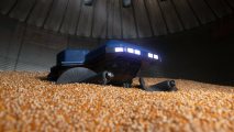 grain weevil robot