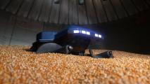 grain weevil robot